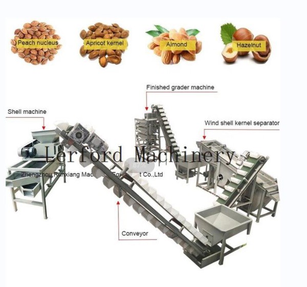 raw cashew grader raw cashew grader