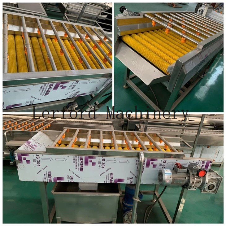 industrial vegetable washer