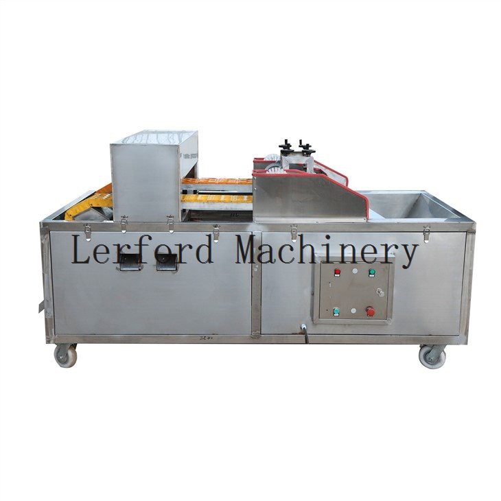 olive pitter machine