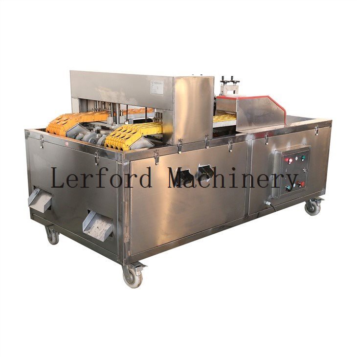 olive pitting machine