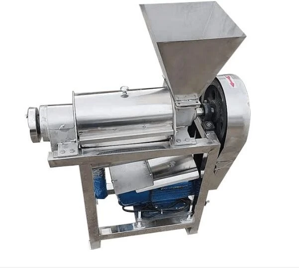 Professional Juicer Machine